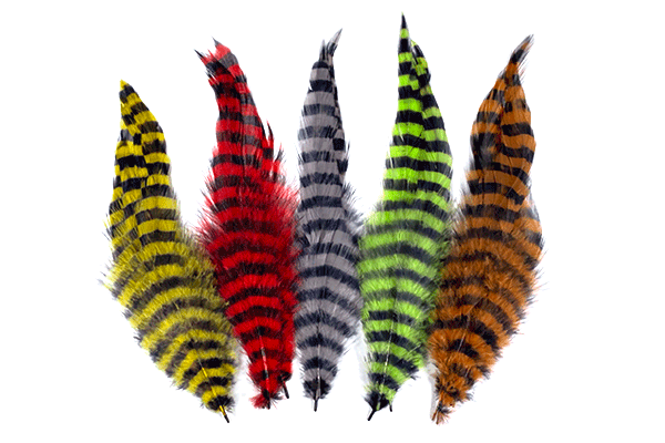 Barred Schlappen