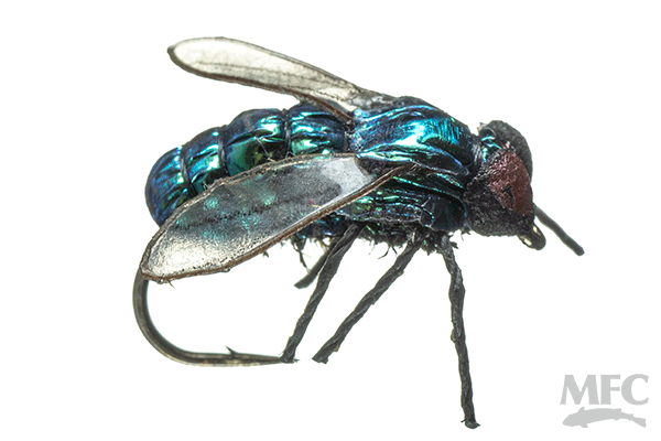 True Housefly