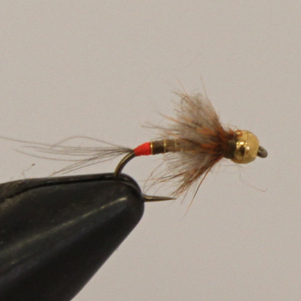 Tungsten Duck Collar Nymph