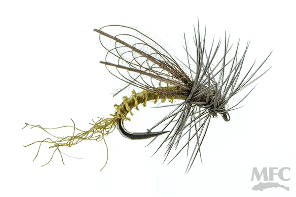 C.D.C. Emerger