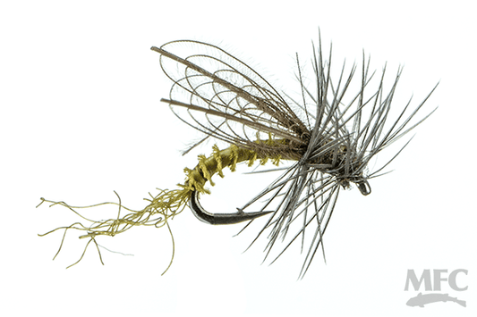 C.D.C. Emerger