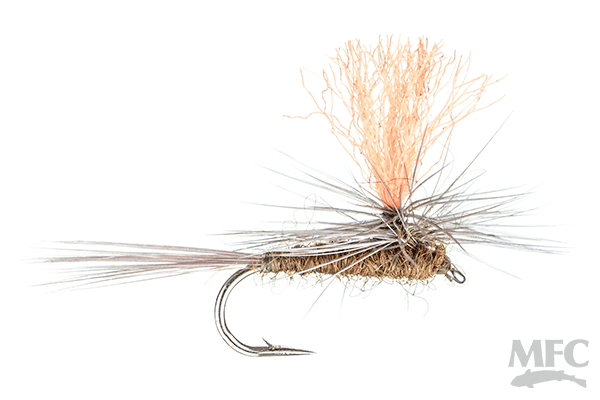 Parachute Hi Vis Blue Wing olive