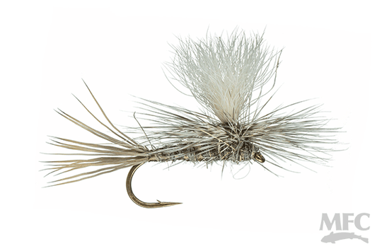 Parachute Hare's Ear