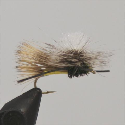 PMX (Parachute Madam X)