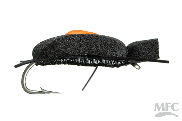 Quick Sight Beetle