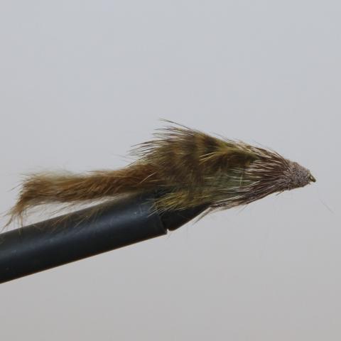 Mccune's Sculpin