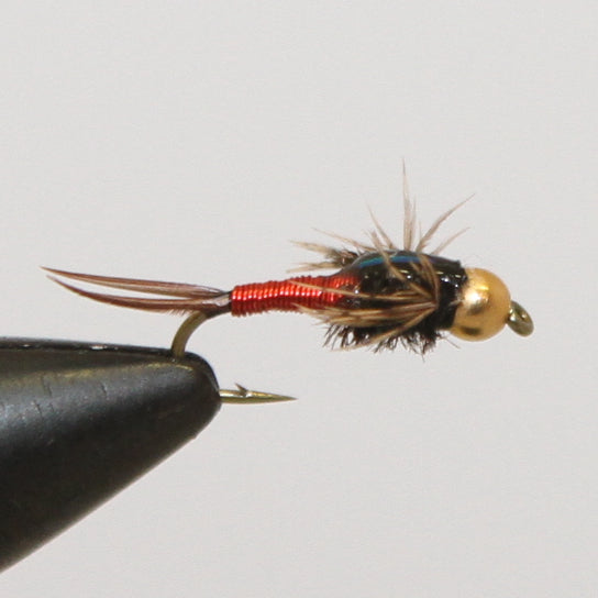 Bead Head Copper John Nymph