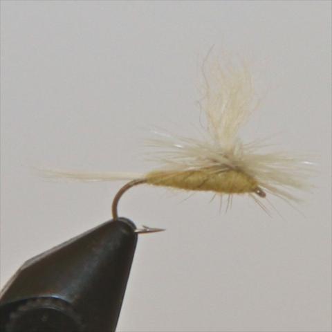 Parachute P.M.D. (Pale Morning Dun)