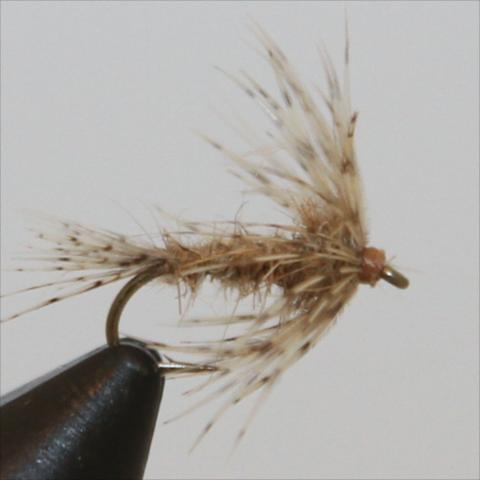 Soft Hackle