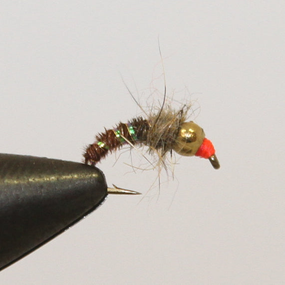 Tungsten Parrott Nymph