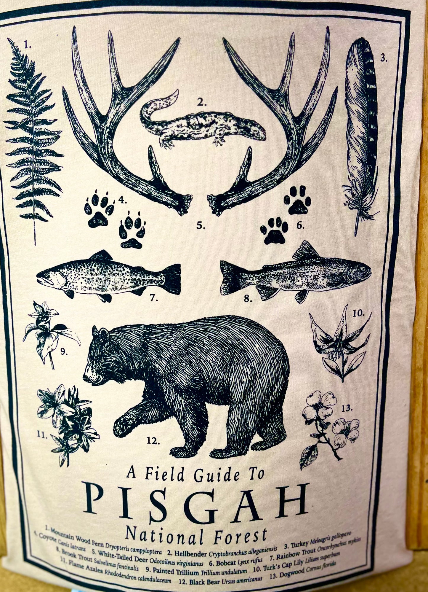 Field Guide SST