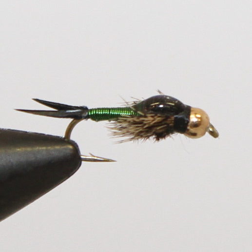 Bead Head Copper John Nymph