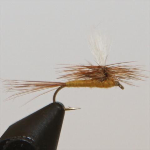 Parachute March Brown