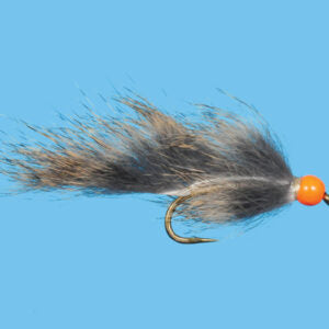 Hot Head Squirrel leech