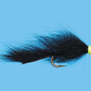 Hot Head Squirrel leech