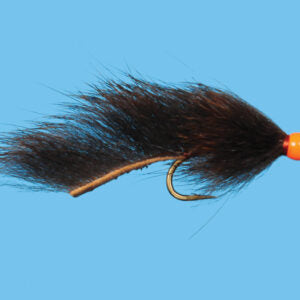 Hot Head Squirrel leech