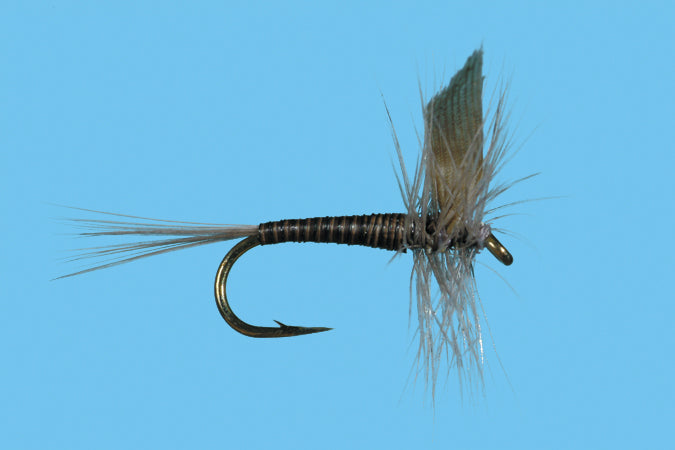Blue Quill