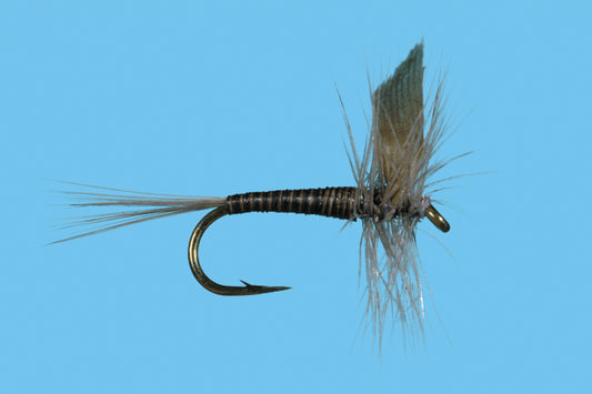 Blue Quill