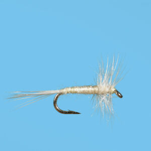 Adult Midge