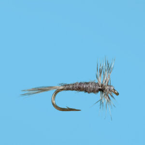 Adult Midge