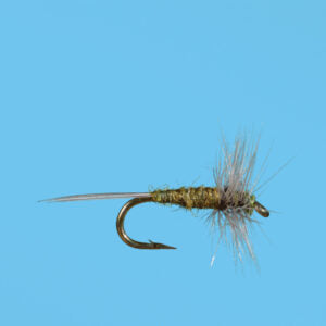 Adult Midge