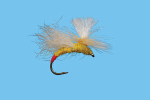 Yellow Sallie Snowshoe