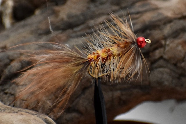 Howell's Strawberry Blonde Bugger