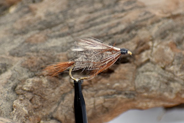 Sheepfly
