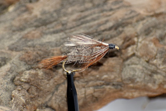 Sheepfly