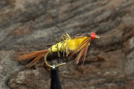 Yallar Hammer Nymph