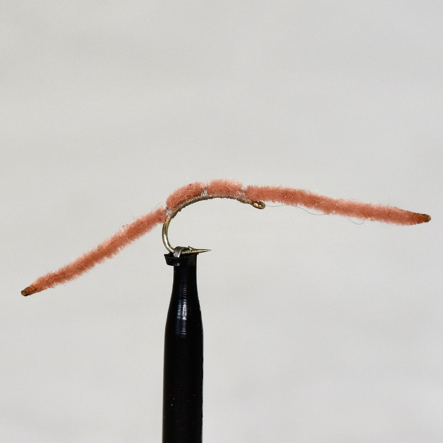 San Juan Worm