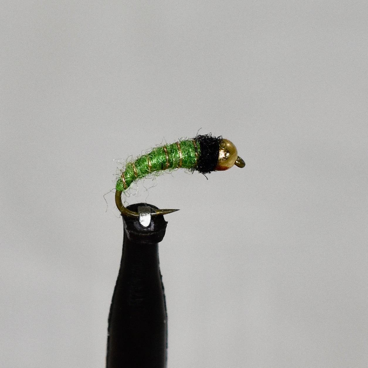 Bead Head Caddis Larva