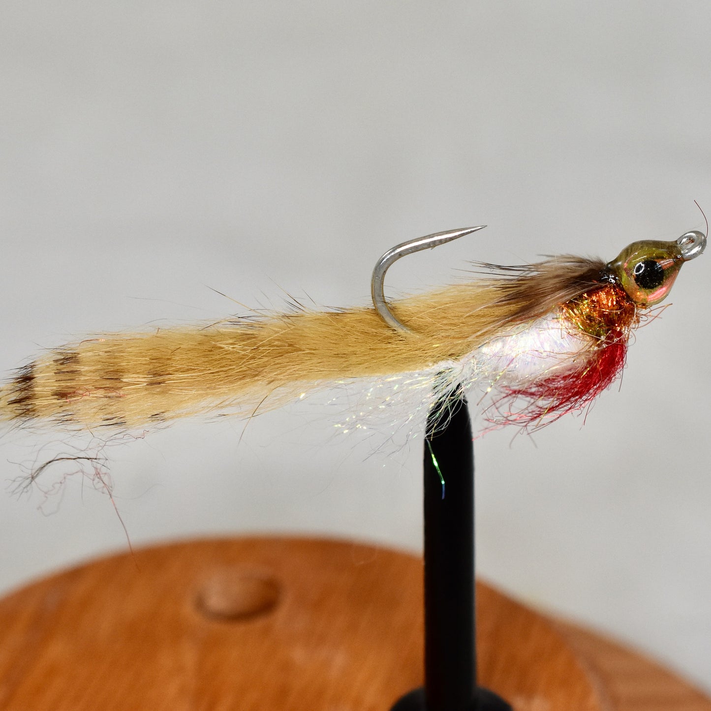 Bellyache Minnow