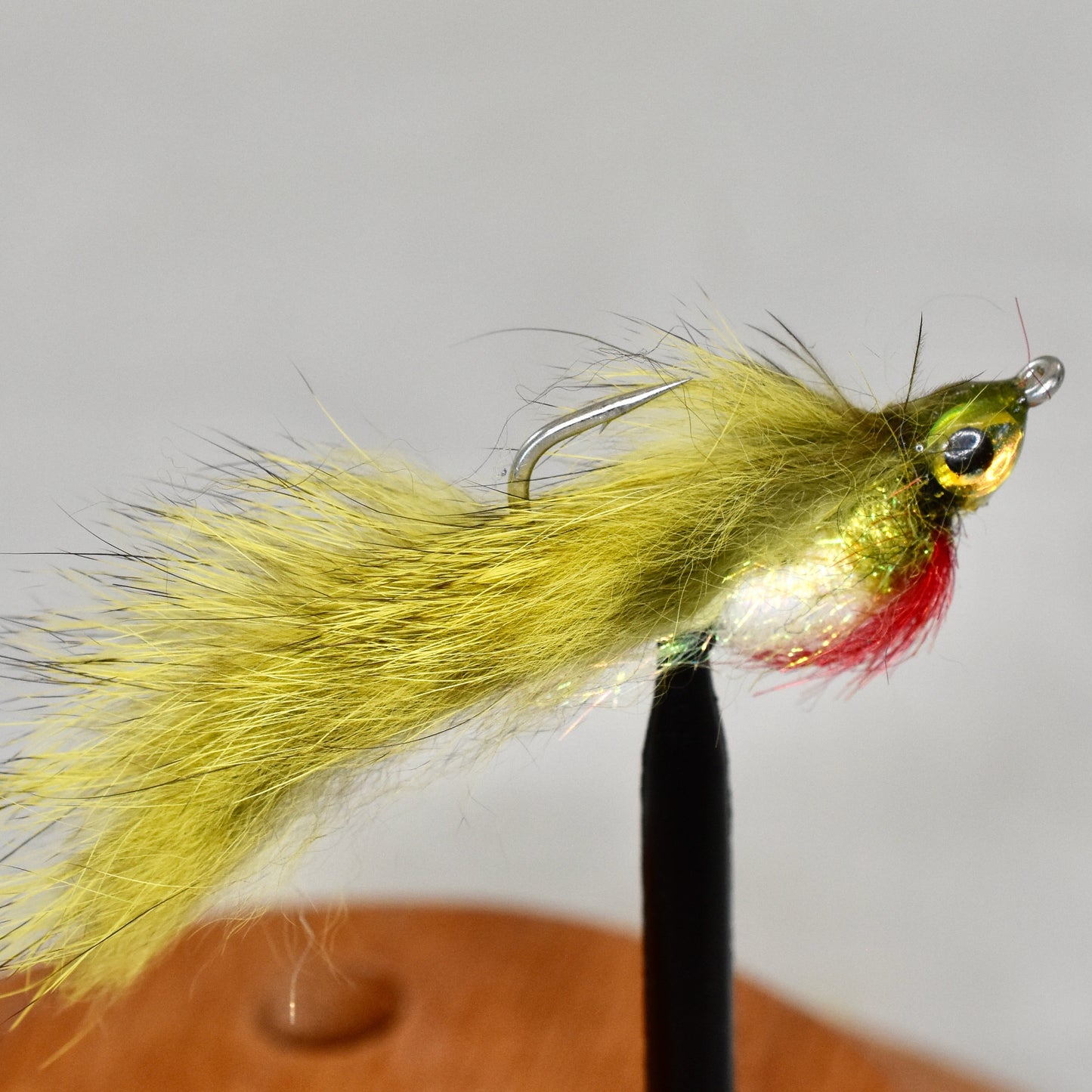 Bellyache Minnow