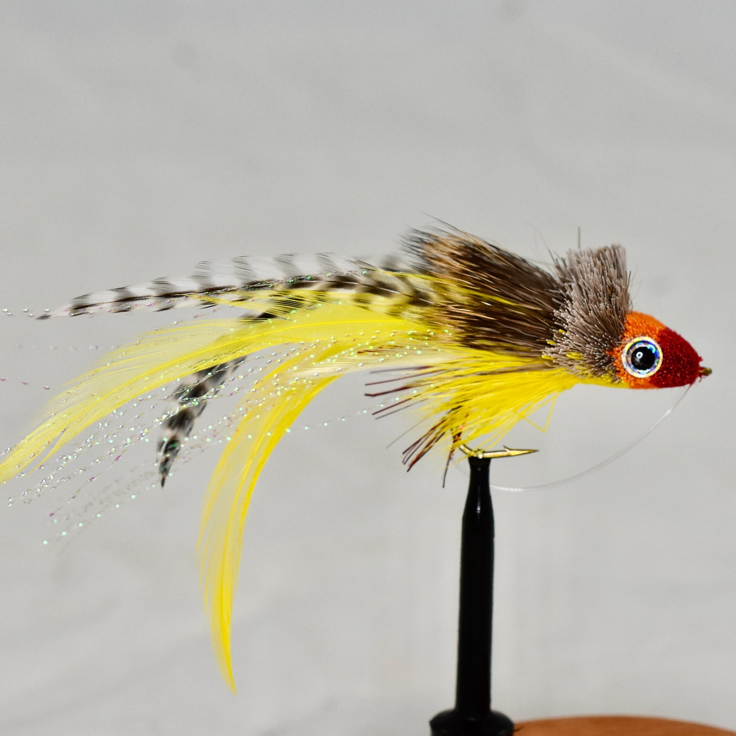 Swimming Baitfish (AKA Dahlberg Diver)