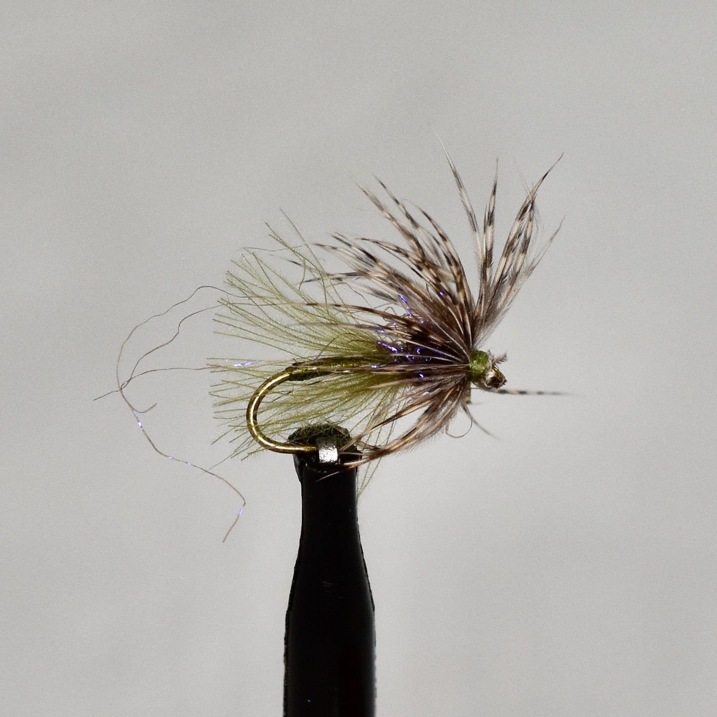 Swing Caddis