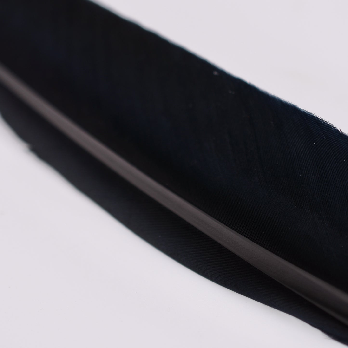Goose Quills