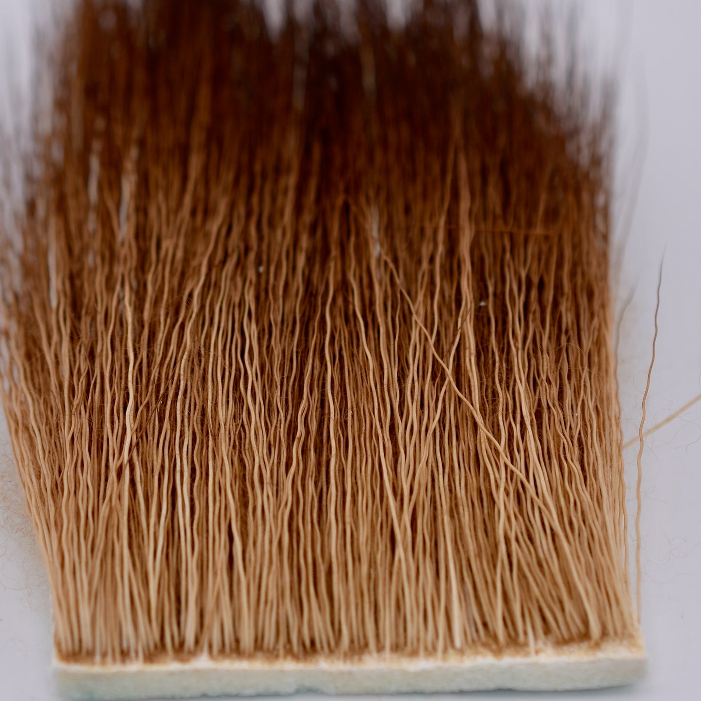 Moose Body Hair