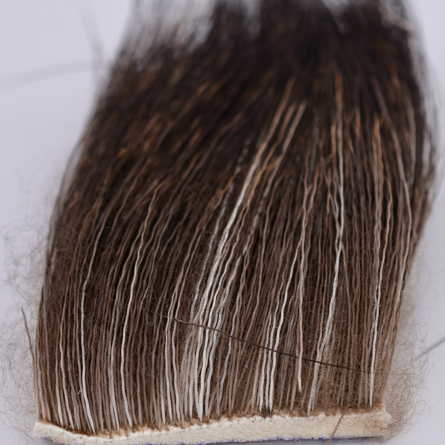 Moose Body Hair