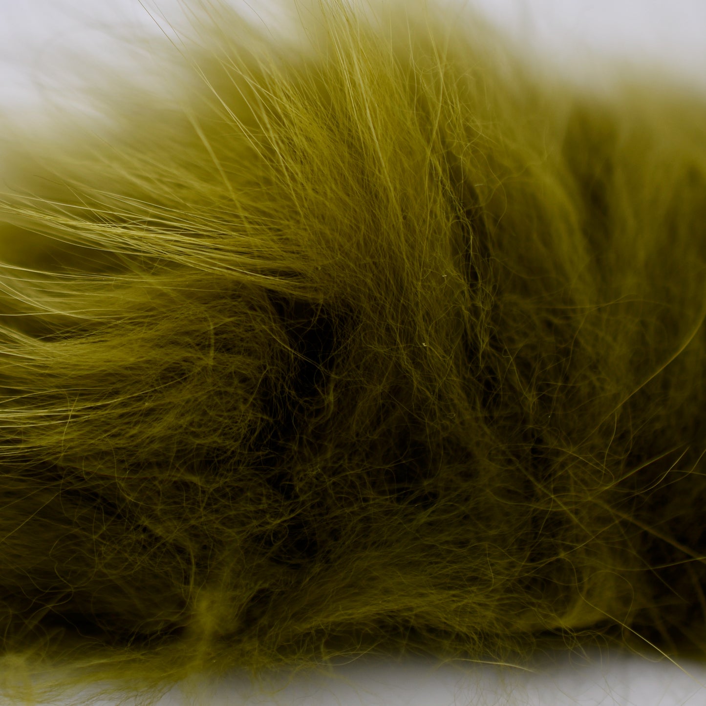 Arctic Fox Fur