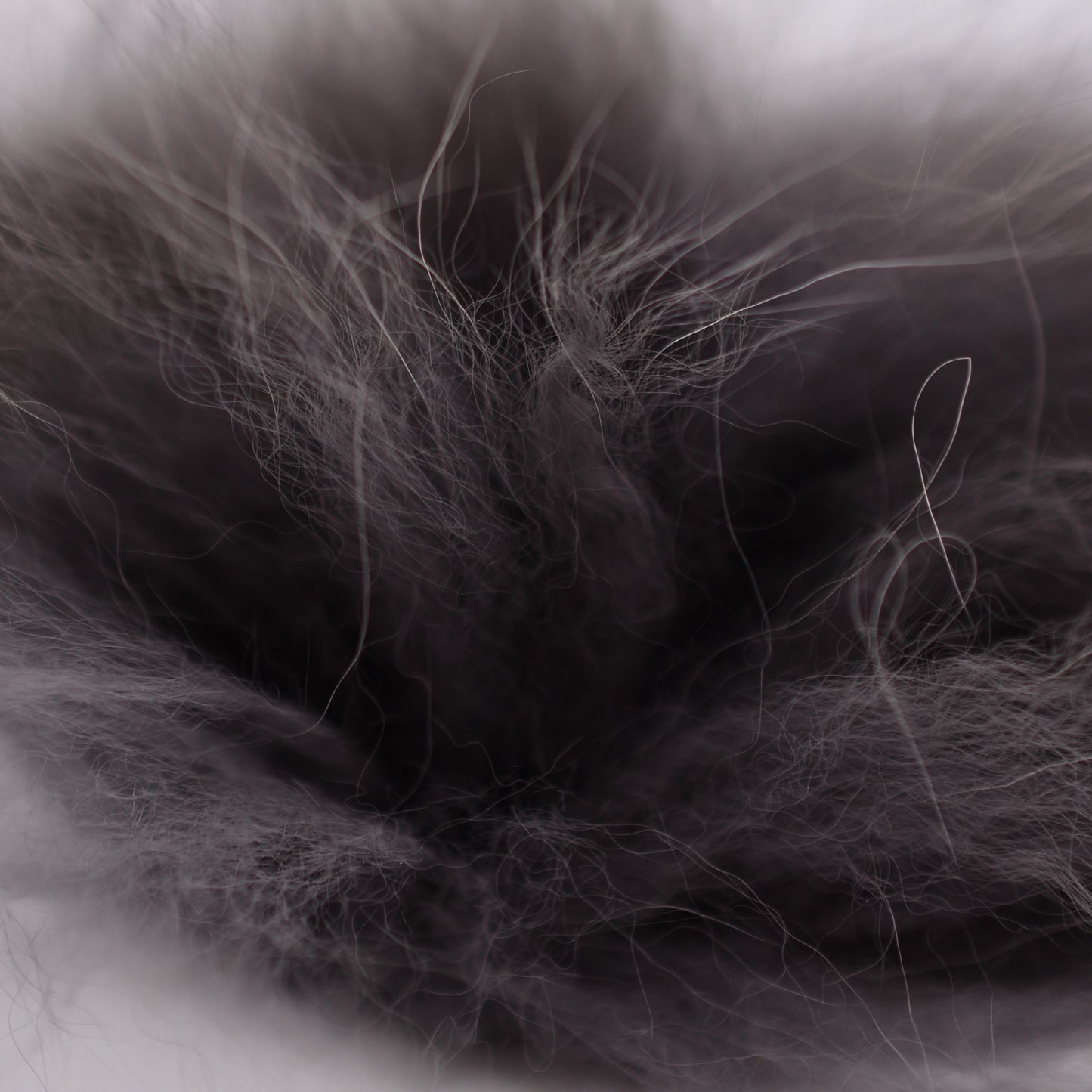 Arctic Fox Fur