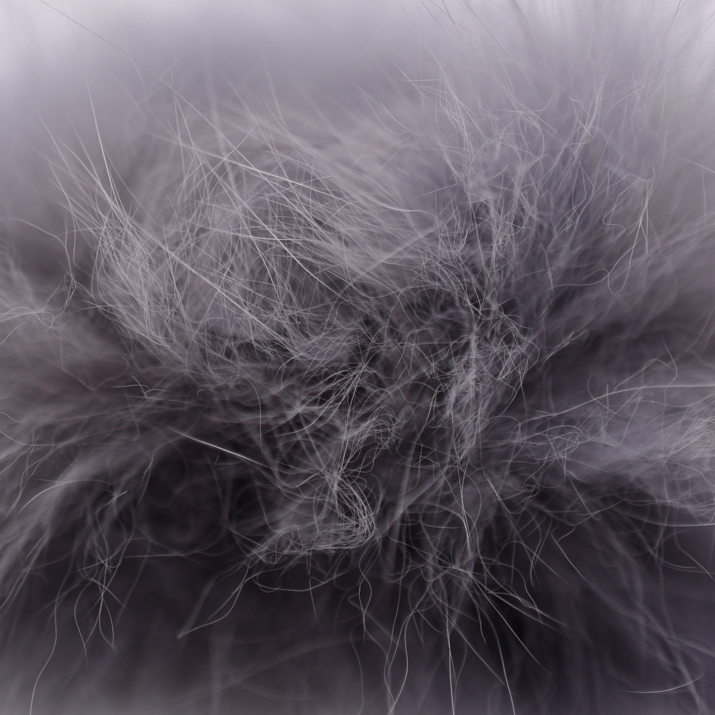 Arctic Fox Fur