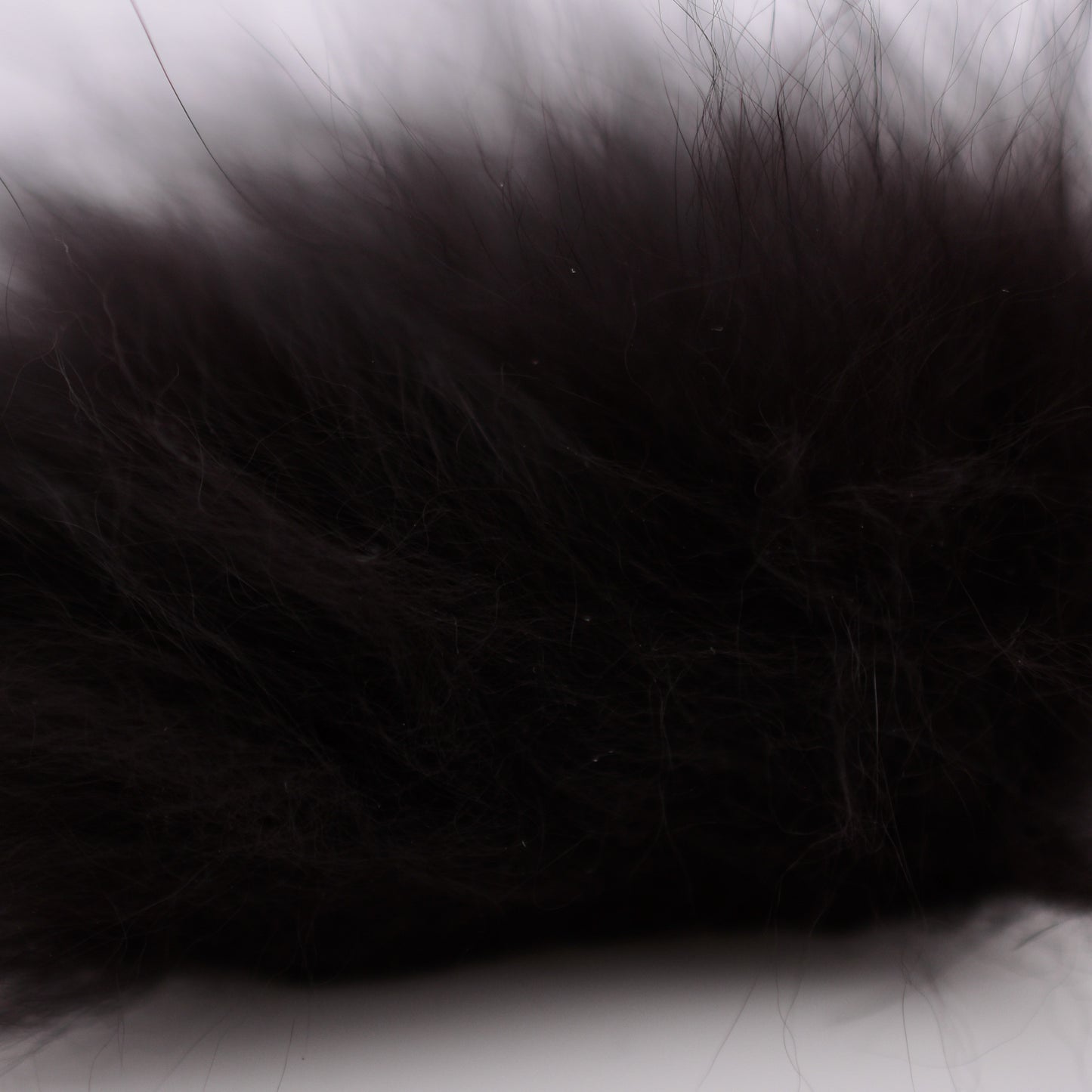 Arctic Fox Fur