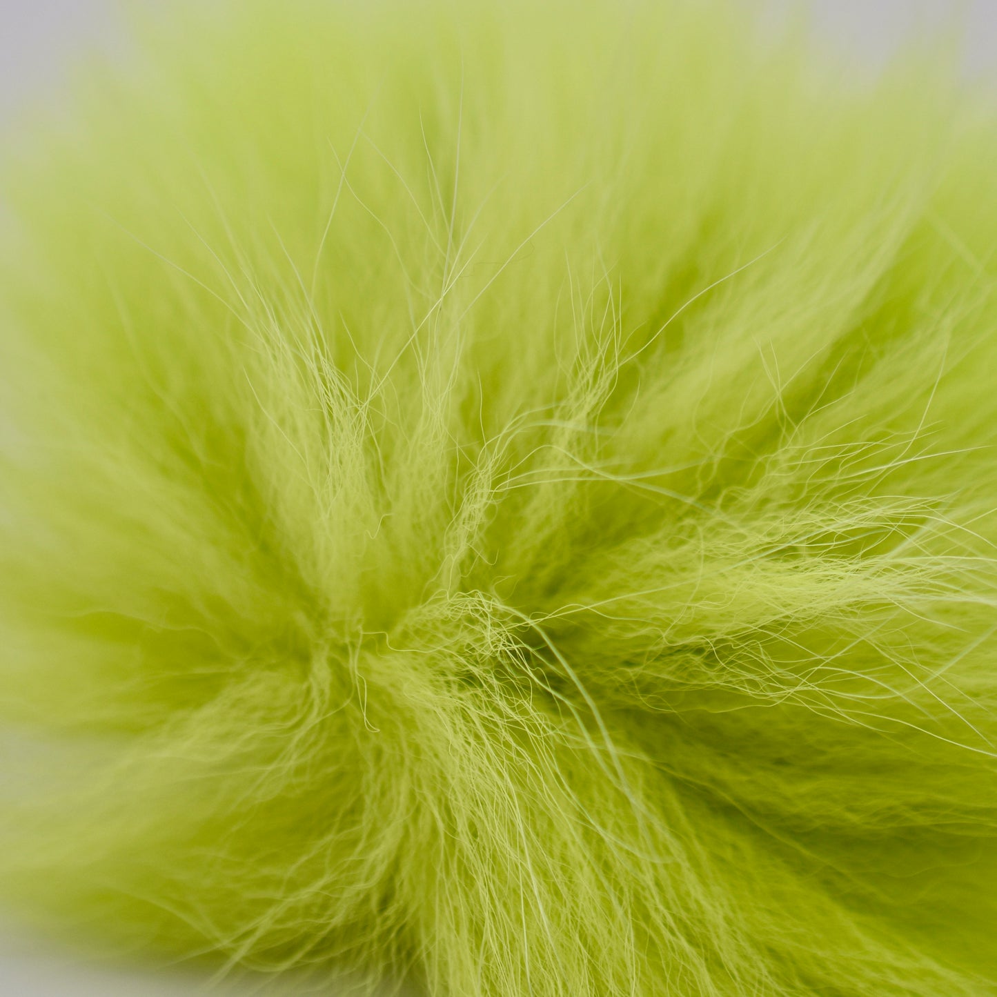 Arctic Fox Fur