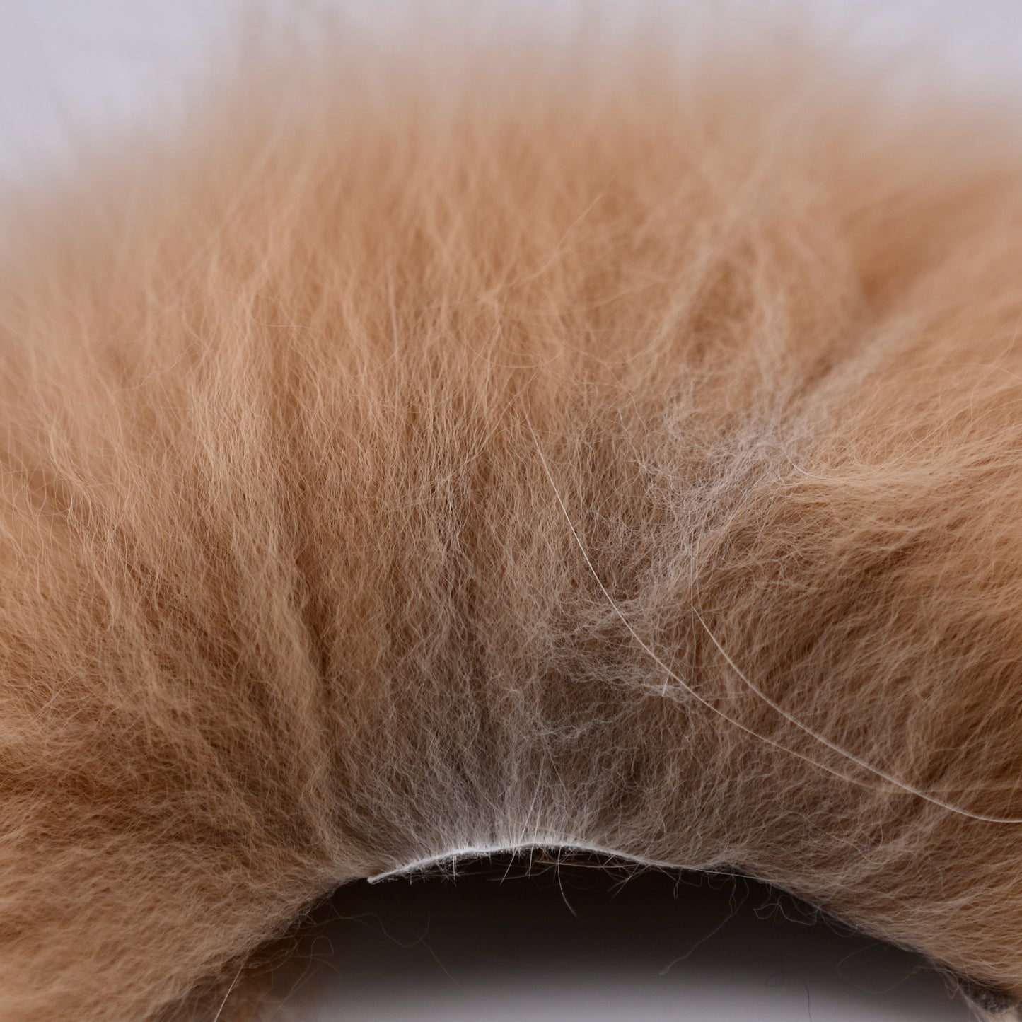 Arctic Fox Fur