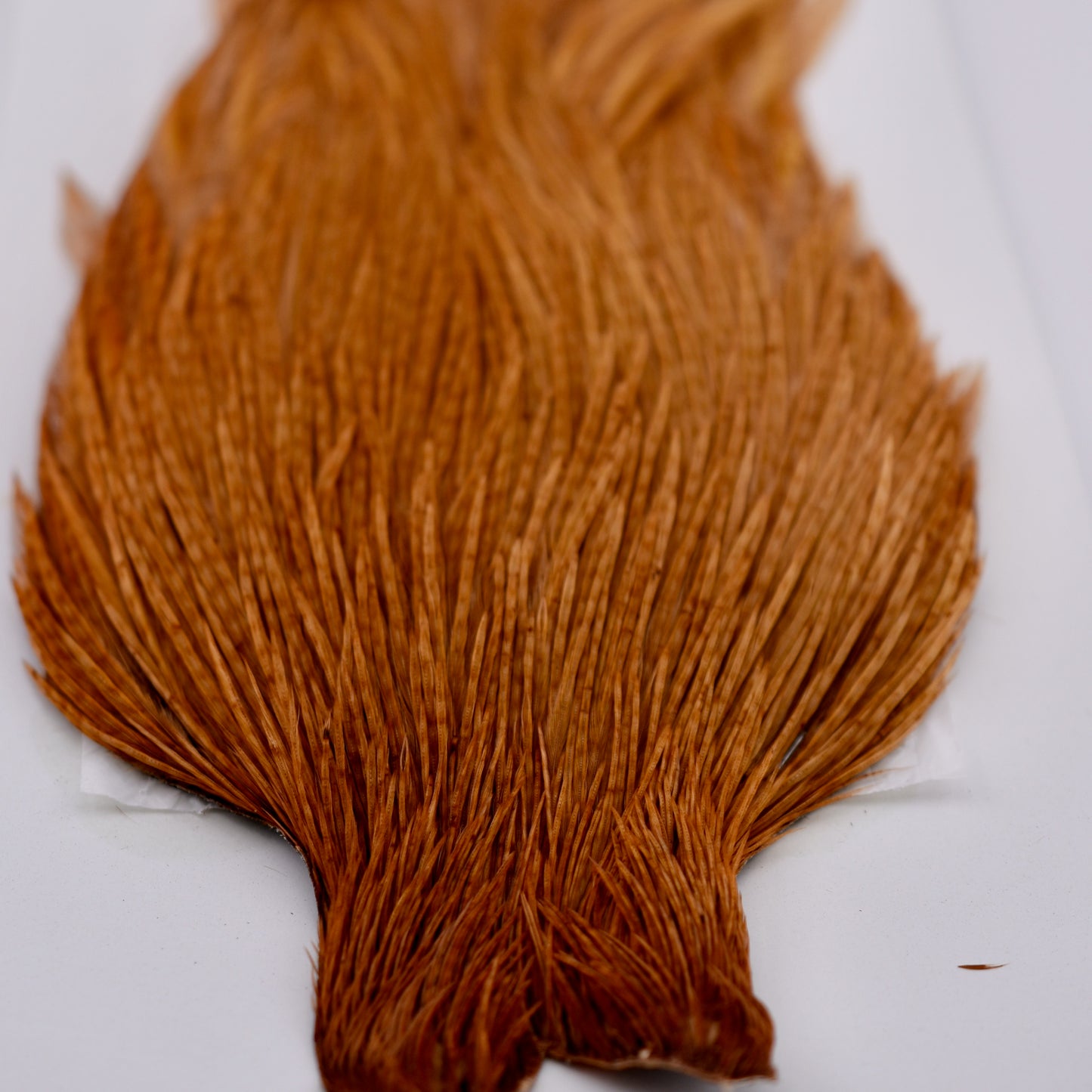 Ewing Hackle #1 Cape