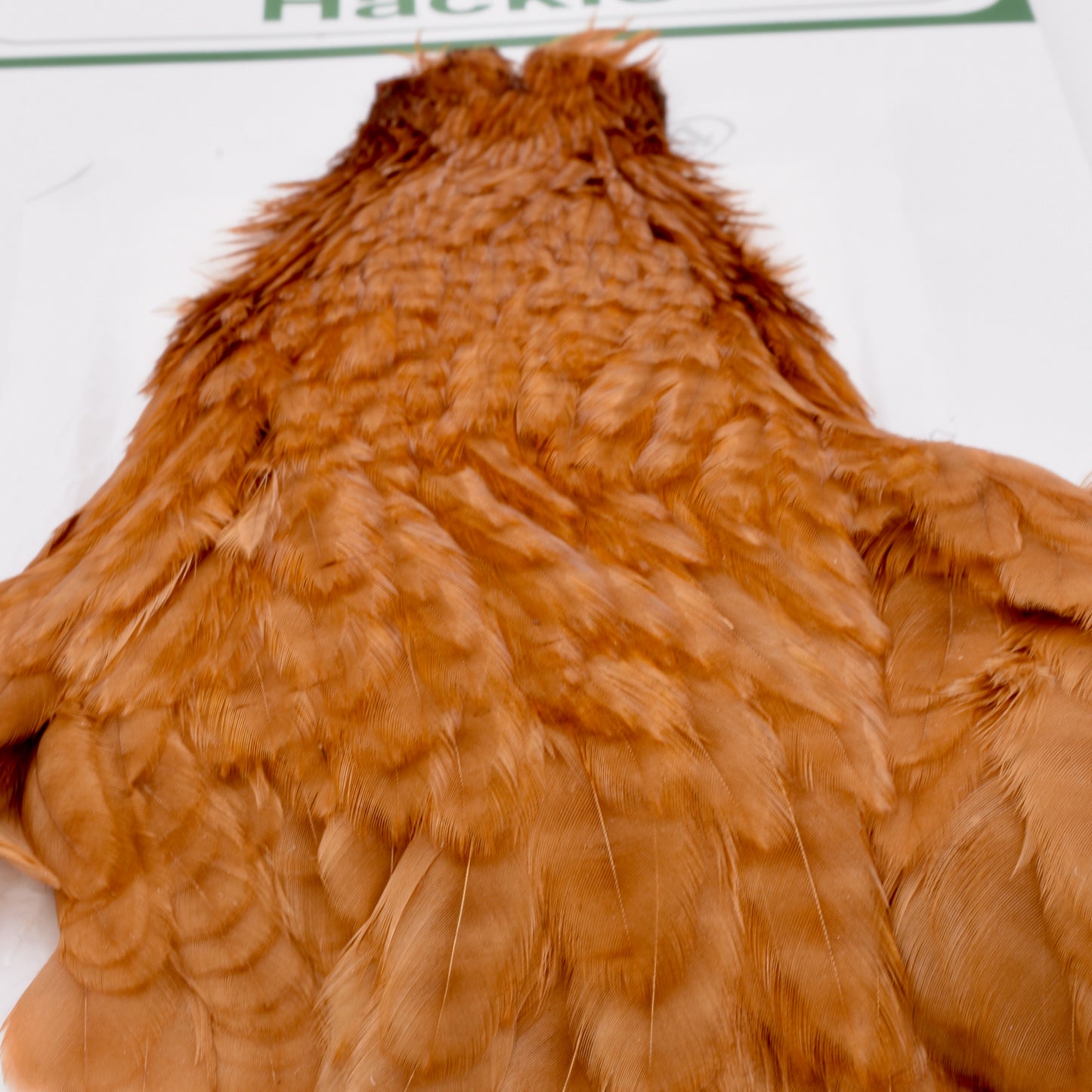 Ewing Hen Cape