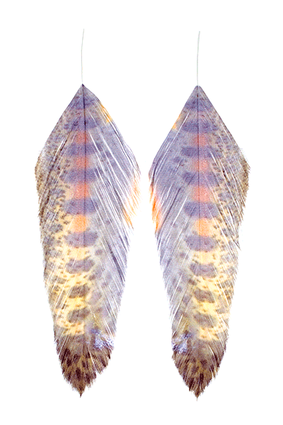 Galloup's Fish Feathers