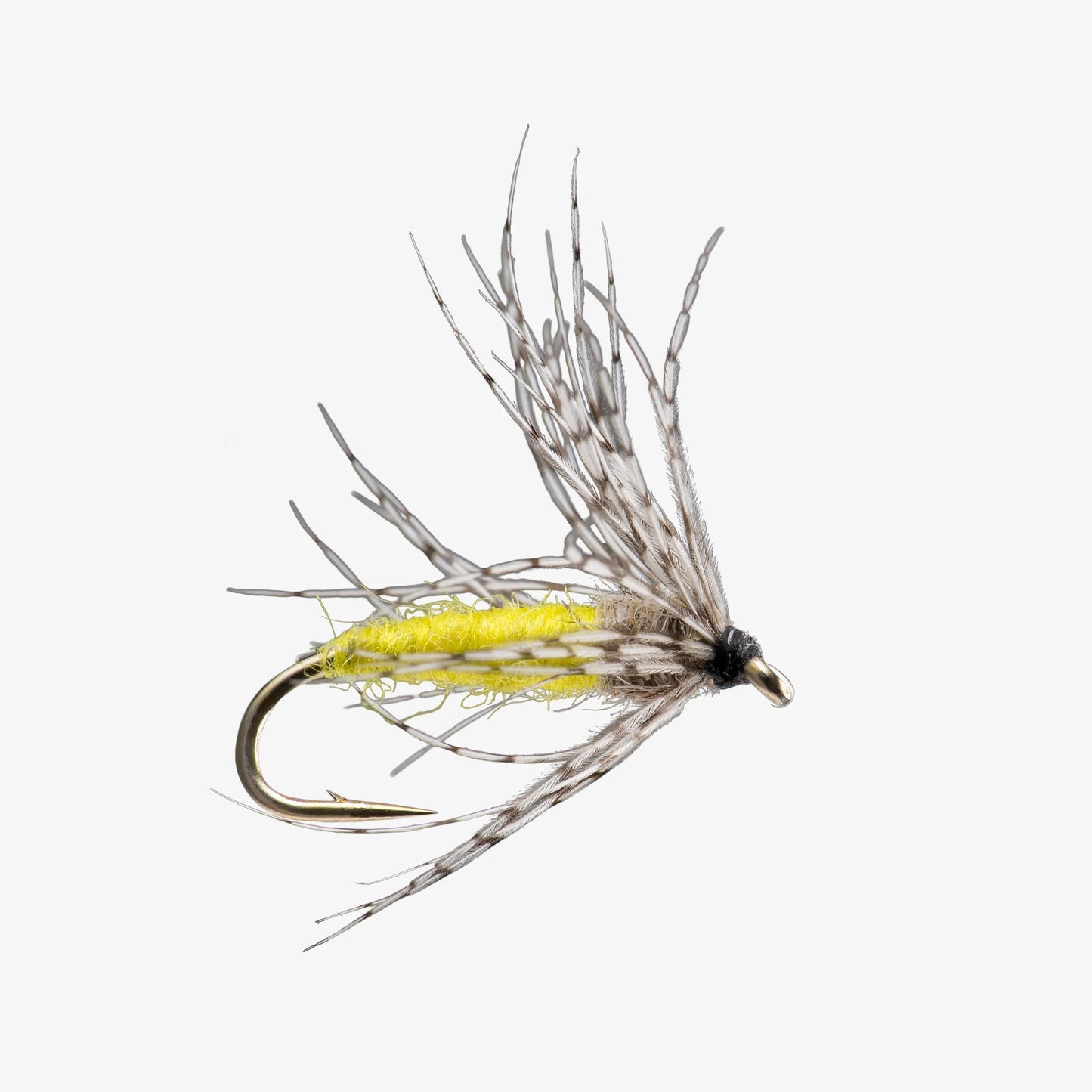 Soft Hackle
