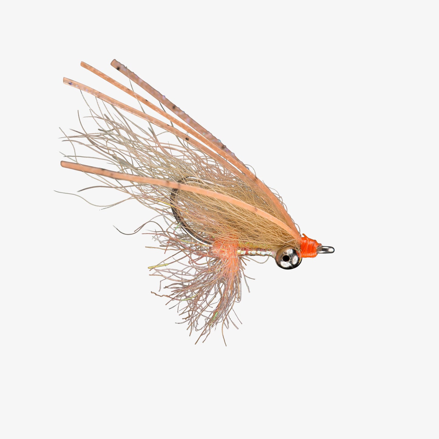 Arctic Bone Spawning Shrimp